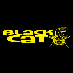 black-cat-231