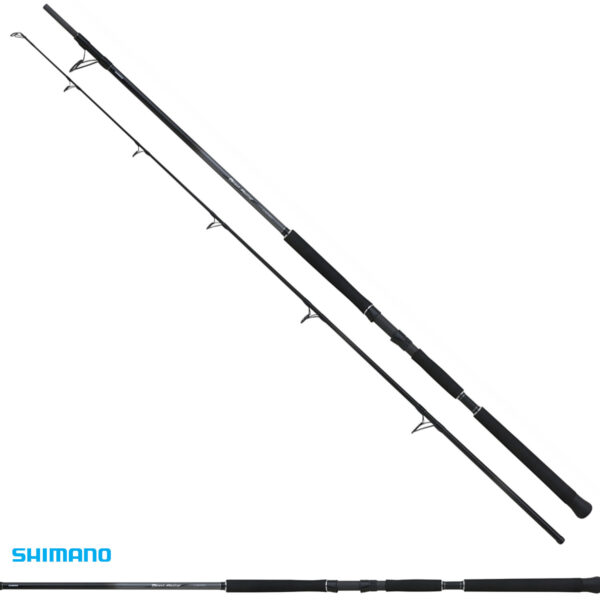 Canne Beastmaster Catfish Static 3,00m 300gr Shimano