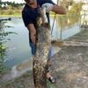 Leurre souple Shad GT 28cm 200gr Delalande
