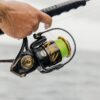 Moulinet Spinning Authority® Penn – Image 4