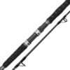 Canne Spinning Spin Cat 50-180gr Catix – Image 2