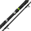 Canne Spinning Camox Spin Cat 2,70m 60-180gr Catix – Image 2