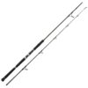 Canne Spinning Spin Cat 50-180gr Catix