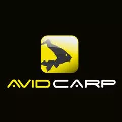 Avid Carp