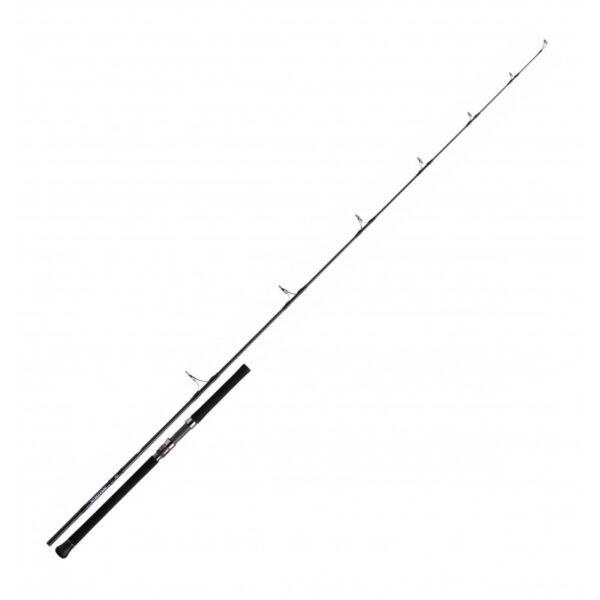 Canne Spinning Saltiga C 83-6 PE6 2,51m 130gr Daiwa