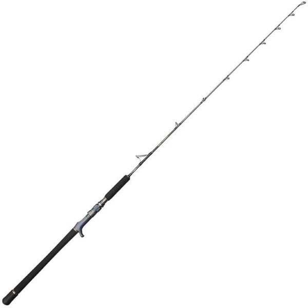 Canne Casting Battalion Solid Jigging Spiral Guide Rod 1,70m 500gr Penn