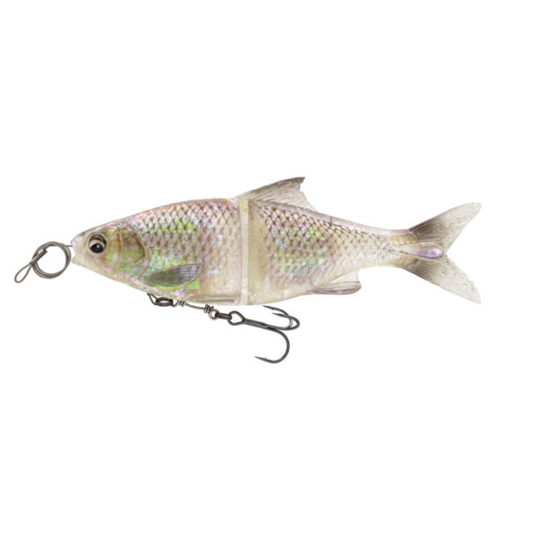 Leurre Souple 3D Line Thru Glide Roach SS 23cm Savage Gear