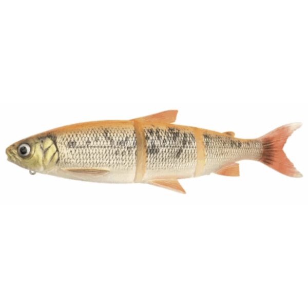 Leurre Souple 3D Line Thru Whitefish MS 27cm Savage Gear – Image 5
