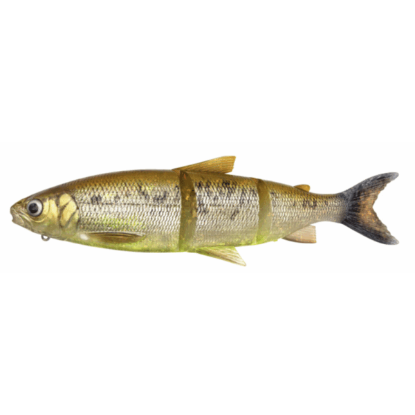 Leurre Souple 3D Line Thru Whitefish MS 27cm Savage Gear – Image 6