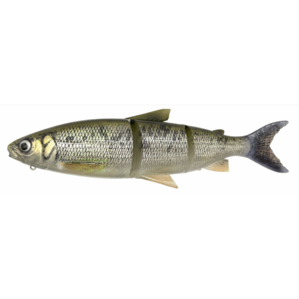 Leurre Souple 3D Line Thru Whitefish MS 27cm Savage Gear – Image 2